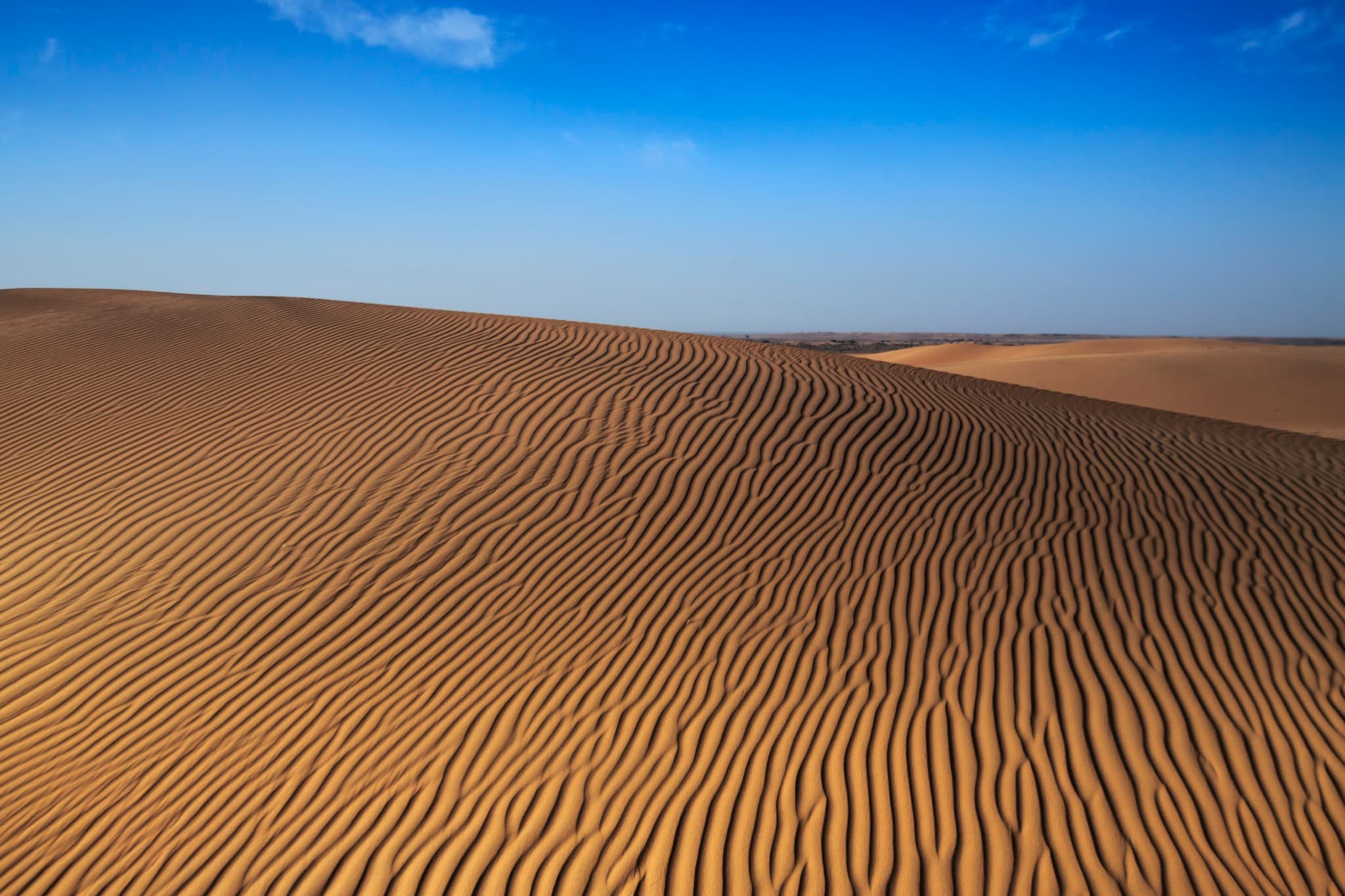 Wind-sculpted sand dunes of the Thar Desert near Jaisalmer, Rajasthan
