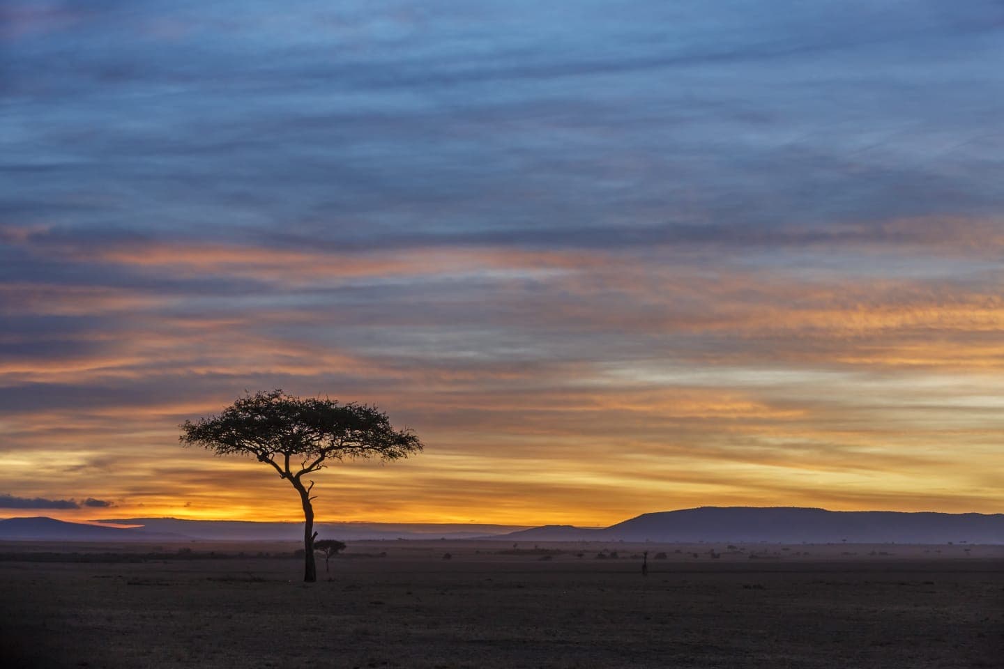 Solitary flat-topped acacia tree silhouetted against a dramatic layered sunset sky over the Masai Mara